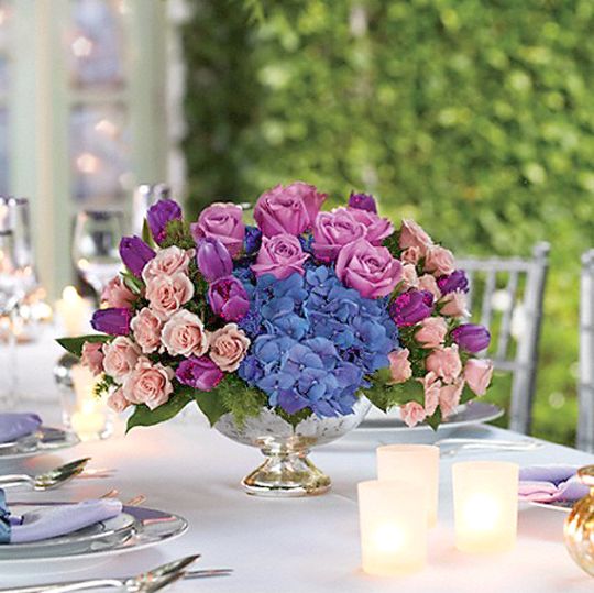 Purple Elegance